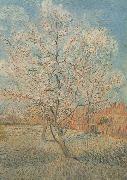 Vincent Van Gogh Peach Tree in Blossom (nn040 oil painting